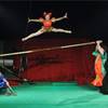 Circus Family 972