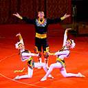 Circus Group 6849