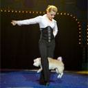 Circus Group With Dogs 994