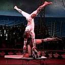 Cubana Circus Group