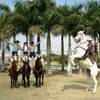 Female Horse Riders 1248