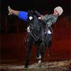 Horse show