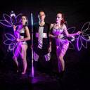 Neon Led Show 105674