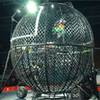 Riders Show 1249