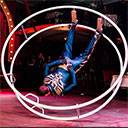 Special Circus Group 10082