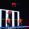 Trampoline Group 110402