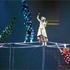 Trampoline Group 1242