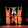 Shaolin Kung Fu 2222