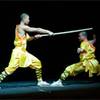Shaolin Kung Fu 2225