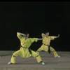 Shaolin Kungfu 6697